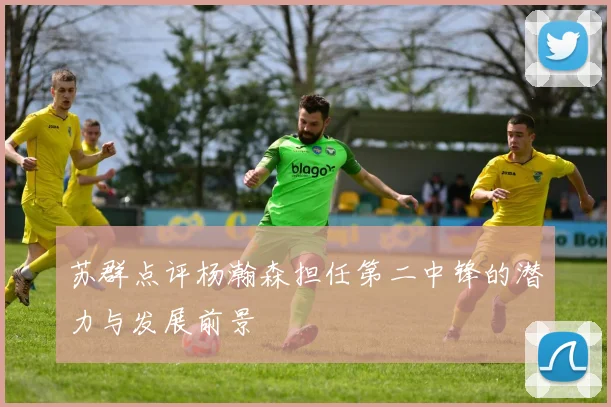 苏群点评杨瀚森担任第二中锋的潜力与发展前景