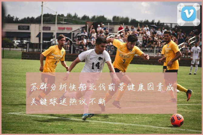 苏群分析快船北伐前景健康因素成关键球迷热议不断