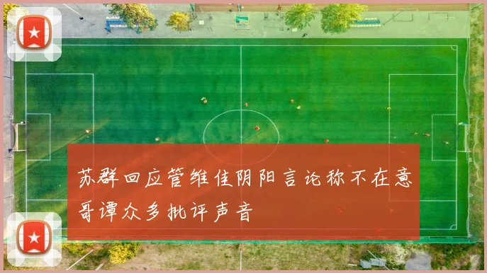 苏群回应管维佳阴阳言论称不在意哥谭众多批评声音