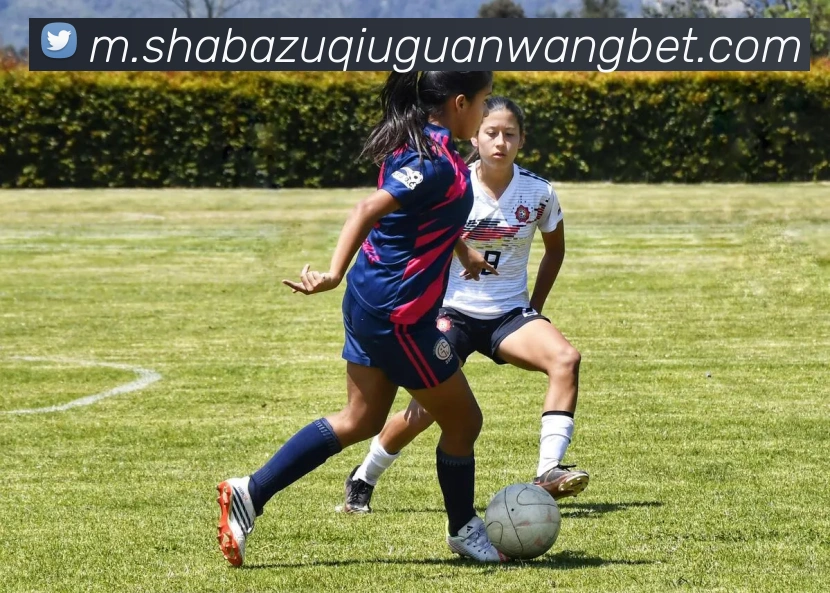 沙巴体育平台生态图