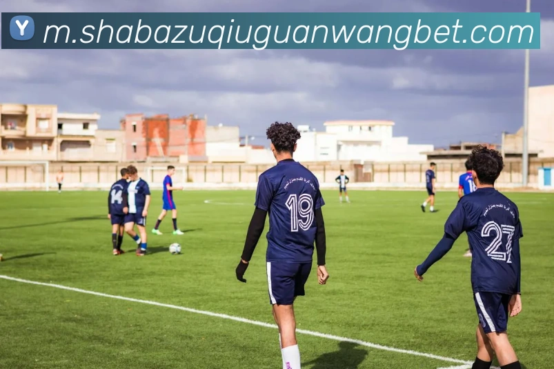 沙巴体育APP 封面图